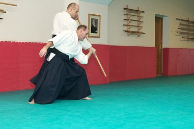 Клуб Айкидо "Сёрюкай" (Молодёжная) - фото, расписание, стоимость, отзывы - 2