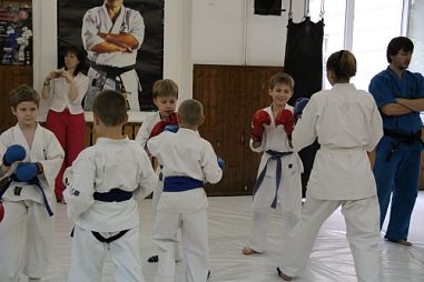 Секция кудо сенсея Дениса Синютина (Нагорная) - фото, расписание, стоимость, отзывы - 1