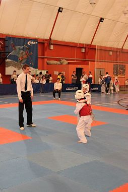 "Таеквондо2000" (Школа №291) - фото, расписание, стоимость, отзывы - 4