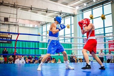 ГОУ школа-интернат №357 СДЮСШОР "Олимпийские Надежды" (Савушкина) - фото, расписание, стоимость, отзывы - 4