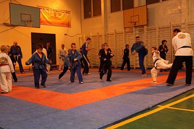 Спортивно-патриотический центр «Сириус» (Достоевская) - фото, расписание, стоимость, отзывы - 4