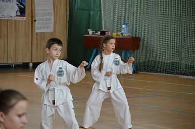Школа Таэквон-До "Кристалл" (Алтуфьево) - фото, расписание, стоимость, отзывы - 2