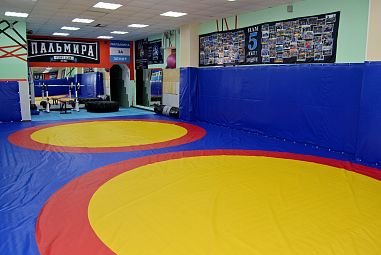 Клуб смешанных единоборств "Пальмира" (Пушкинская) - фото, расписание, стоимость, отзывы - 3