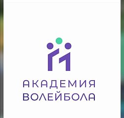 Академия Волейбола
