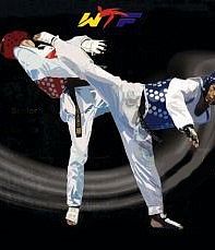 НП-ЦСПР (СК "Север")