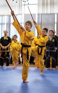 Клуб боевых искусств "Красная Джонка" - фото, расписание, стоимость, отзывы - 2