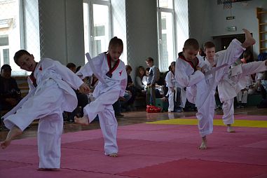 "Таеквондо2000" (Школа №251) - фото, расписание, стоимость, отзывы - 2