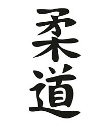 "Дзюдо на канале Грибоедова"