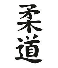 "Дзюдо на канале Грибоедова"