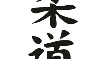 "Дзюдо на канале Грибоедова"