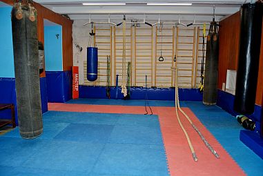 Клуб смешанных единоборств "Пальмира" (Международная) - фото, расписание, стоимость, отзывы - 4