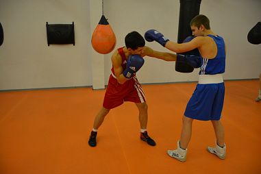 ГОУ школа-интернат №357 СДЮСШОР "Олимпийские Надежды" (Савушкина) - фото, расписание, стоимость, отзывы - 1
