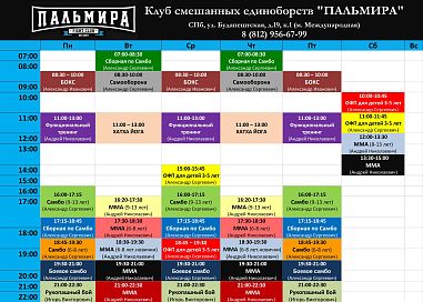 Клуб смешанных единоборств "Пальмира" (Международная) - фото, расписание, стоимость, отзывы - 1