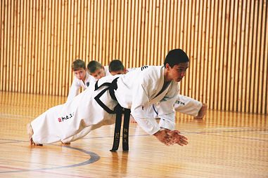 Taekwondo Team «MAIN PRINCIPLE» («Главный принцип») - фото, расписание, стоимость, отзывы - 4