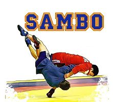 СК "Империя Единоборств» (Медведково)