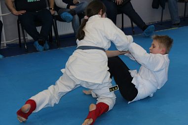 Федерация Универсальных боевых искусств (пр.Ветеранов) - фото, расписание, стоимость, отзывы - 4