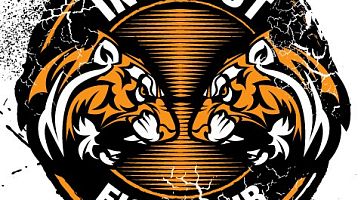 Бойцовский клуб «Инстинкт» (Домодедовская)