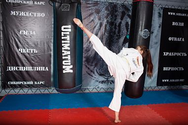 СКБИ "Сибирский Барс" (ВДНХ) - фото, расписание, стоимость, отзывы - 1