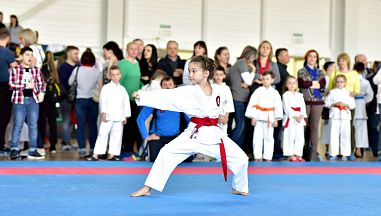 Центральная школа каратэ (ЦШК) Полежаевская - фото, расписание, стоимость, отзывы - 2