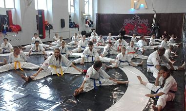 Клуб киокушинкай каратэ "Белый тигр" (Пролетарская) - фото, расписание, стоимость, отзывы - 1