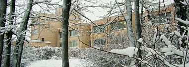 ГОУ школа-интернат № 289 Красносельского района СПб - фото, расписание, стоимость, отзывы - 1