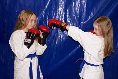 Клуб рукопашного боя СК "Феникс" - фото, расписание, стоимость, отзывы - 2