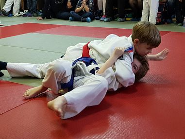 Детский спортивный клуб дзюдо и самбо "Север" - фото, расписание, стоимость, отзывы - 1