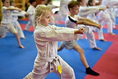 Центральная школа каратэ (ЦШК) Белорусская - фото, расписание, стоимость, отзывы - 5