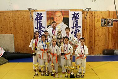 Клуб киокушинкай каратэ "Белый тигр" (Пролетарская) - фото, расписание, стоимость, отзывы - 2