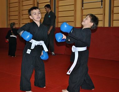 Клуб самообороны Ястреб (Мытищи) - фото, расписание, стоимость, отзывы - 2