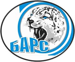 Спортивно-досуговый центр "БАРС" (Кузьминки)