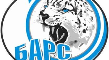 Спортивно-досуговый центр "БАРС" (Кузьминки)