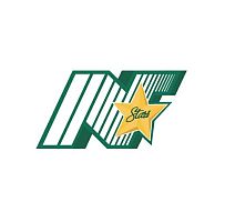 ХК North stars