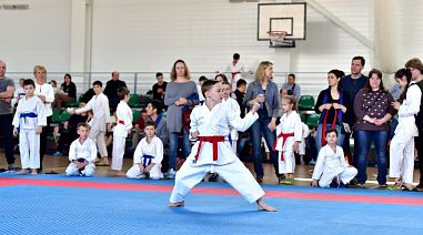Центральная школа каратэ (ЦШК) Полежаевская - фото, расписание, стоимость, отзывы - 6