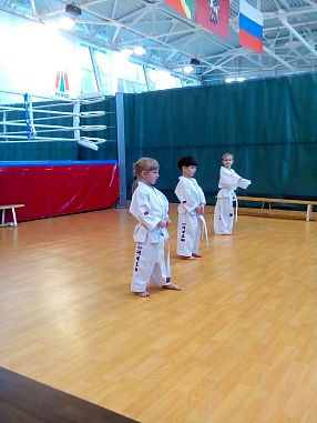 Школа Таэквон-До "Кристалл" (Позитив, Мечта-1) - фото, расписание, стоимость, отзывы - 2