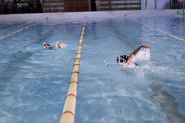 ФОК " НИКА" - фото, расписание, стоимость, отзывы - 3