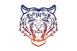 Клуб смешанных единоборств TIGRIS (Свиблово)