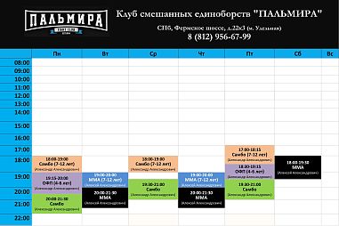 Клуб смешанных единоборств "Пальмира" (Удельная) - фото, расписание, стоимость, отзывы - 1