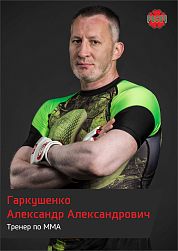 Гаркушенко Александр Александрович
