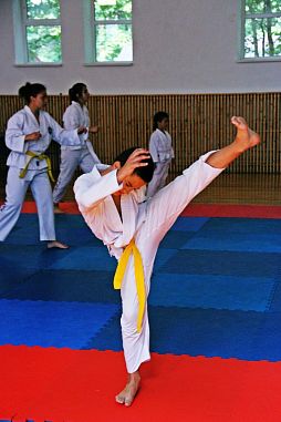 Taekwondo Team «MAIN PRINCIPLE» («Главный принцип») - фото, расписание, стоимость, отзывы - 1