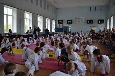 "Таеквондо2000" (Школа №509) - фото, расписание, стоимость, отзывы - 5