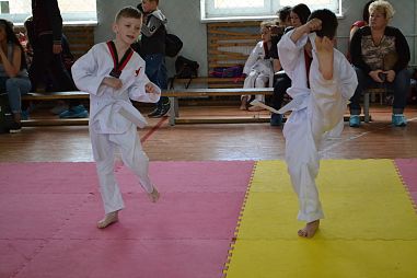 "Таеквондо2000" (Школа Экономики и Права) - фото, расписание, стоимость, отзывы - 4