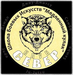Детский спортивный клуб дзюдо и самбо "Север"