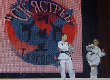 СК "Ястреб" (Электросила) - фото, расписание, стоимость, отзывы - 6