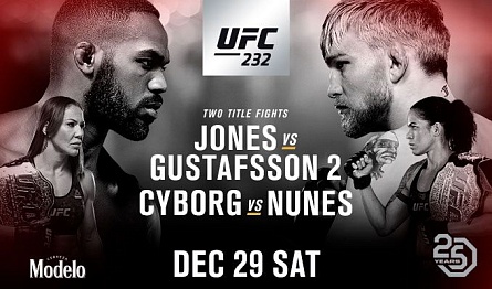 UFC 232: Джонс против Густафссона
