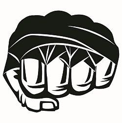 Клуб смешанных единоборств в Новокосино