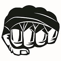 Клуб смешанных единоборств в Новокосино