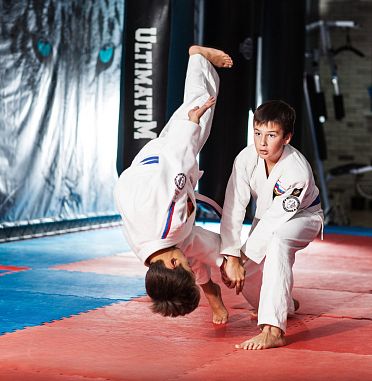 СКБИ "Сибирский Барс" (ВДНХ) - фото, расписание, стоимость, отзывы - 4