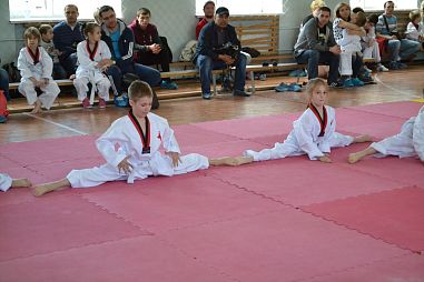 "Таеквондо2000" (Школа №251) - фото, расписание, стоимость, отзывы - 1