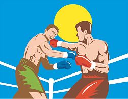 Клуб бокса "Вектор"